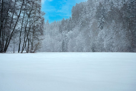 Winter landscape with frozen lake and forest in the background. Beautiful winter landscape