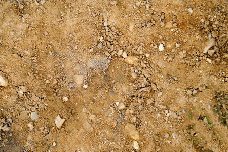 Dry soil texture background. Abstract background of dry soil texture.の写真素材