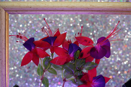 Fuchsia flower in the vase and in the picture frame full of artの写真素材