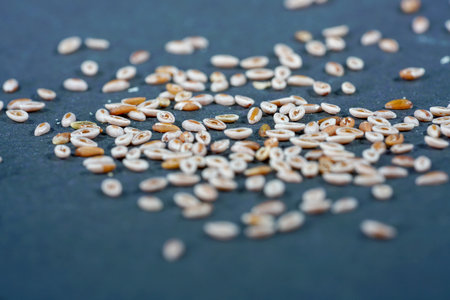 Wheat grains on a black background. Shallow depth of field.の写真素材