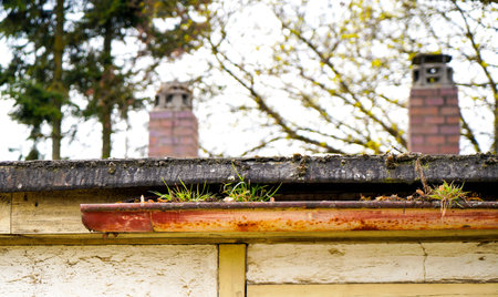 Old brick chimney on the roof of an old house with mossの写真素材