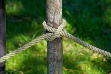 Rope tied to a wooden pole with green grass in the backgroundの写真素材