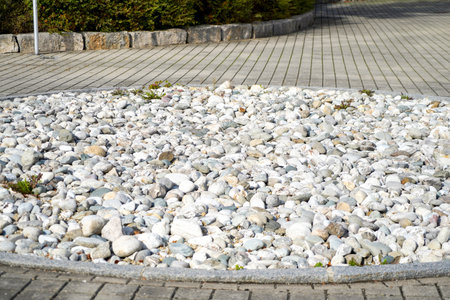 White pebbles on the pavement in the park, natural backgroundの写真素材