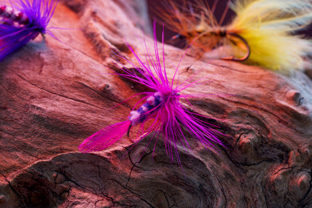 fly for fishing on a background of colored bokeh lightsの写真素材