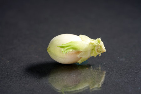 Pistachio nuts on a black background with water drops.の写真素材