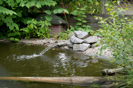 A small pond in the middle of a garden with rocks and plantsの写真素材