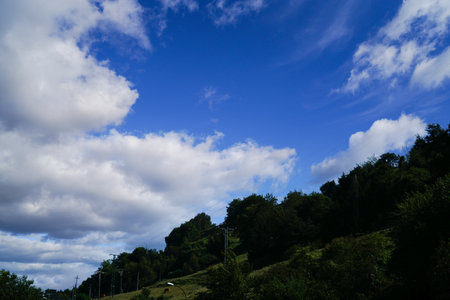 Landscape view of a green forest and blue sky with white cloudsの写真素材