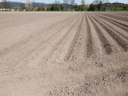 agricultural field in spring, close-up of plowed landの写真素材