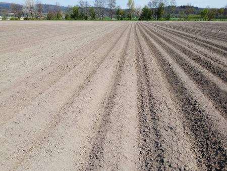 Plowed field in spring, ready for sowing crops.の写真素材