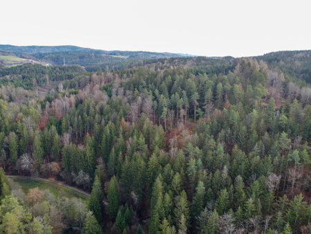 aerial photo of the forest in bavaria with dense needle trees and clearings as a green meadowの写真素材