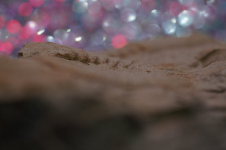 Ammonite is a fossil of a squid, photographed in close-up in the studioの写真素材