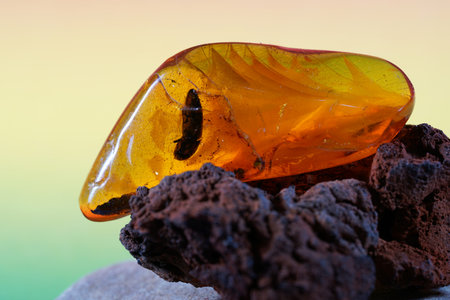 Amber gemstone on pink and blue background. Shallow depth of fieldの写真素材