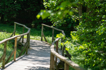 Bridge in the forest that leads over a small stream photographed in summerの写真素材