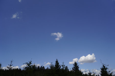 blue sky with white clouds and green trees in the forest, nature seriesの写真素材
