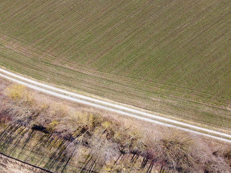 Long shadows from avenue deciduous trees with springtime in Bavariaの写真素材