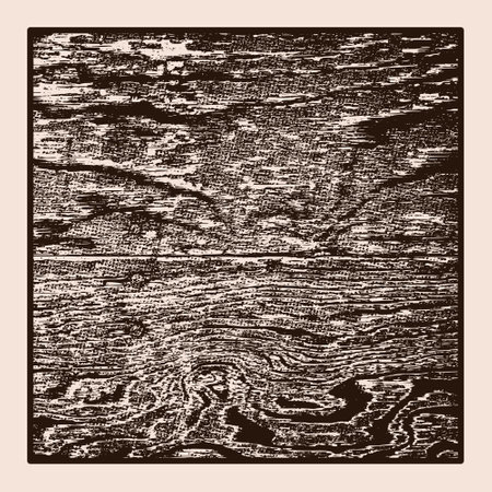 Wooden texture. Vector illustration for your design.のイラスト素材