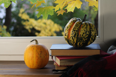Pumpkins and apples on a window sill overlooking the autumn yardの写真素材