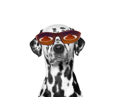 Dog is very hungry. Food reflected in his glasses. Isolate on white backgroundの写真素材