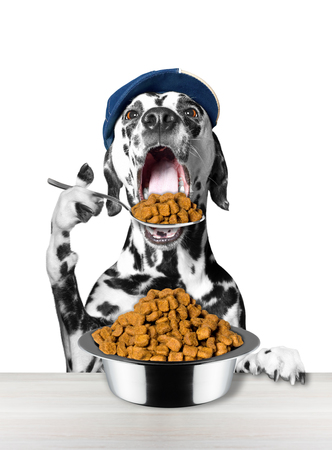 dog eats with a spoon from a bowl -- isolated on white backgroundの写真素材