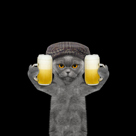 Cat drinks beer and greeting somebody -- isolated on blackの写真素材