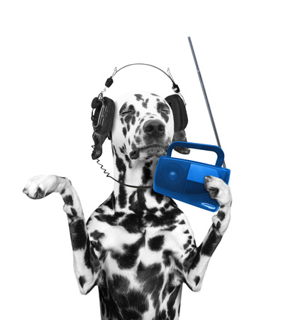 Dog listening to music and dancing -- isolated on white backgroundの写真素材