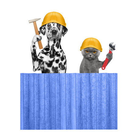 dog and cat builders holding tools in their paws -- isolated on whiteの写真素材