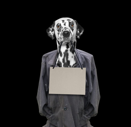 Bad dirty dog holding a frame in his mouth -- isolated on blackの写真素材