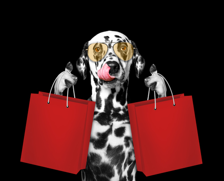 Cute dog goes shopping -- isolated on blackの写真素材
