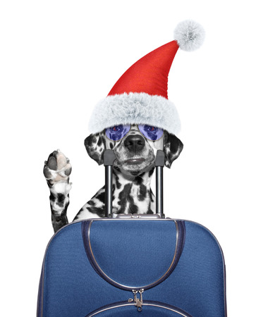 Santa dog says goodbye and goes on holiday with a suitcase in his mouth -- isolated on whiteの写真素材