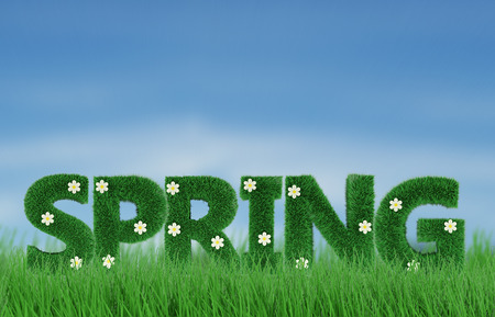 Beautiful spring background 3d renderの写真素材