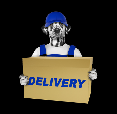 Dalmatian dog delivery yellow post box -- isolated on blackの写真素材