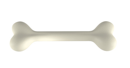Dog chew bone isolated on white background. 3d renderの写真素材
