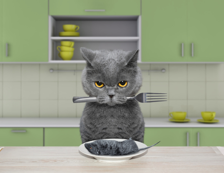 The hungry cat is going to eat a mouseの写真素材