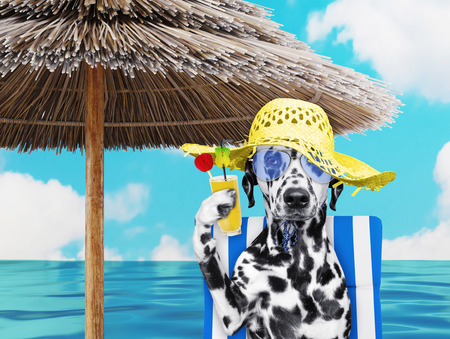 Cute dalmatian dog resting and relaxing on the beach chair under umbrella with juice at the beach ocean shore, on summer vacation holidays. 3d renderの写真素材