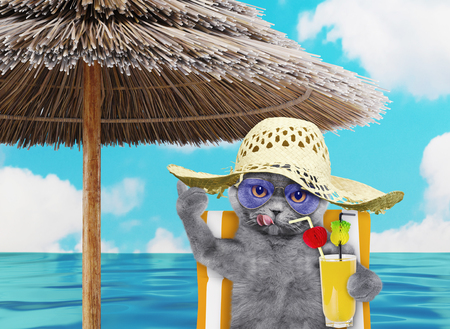 Cute cat resting and relaxing on the beach chair under umbrella with juice at the beach ocean shore, on summer vacation holidays. 3d renderの写真素材