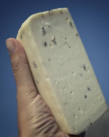 Craft cheese from cows and goats milk. Cheese head. Selective focusの写真素材