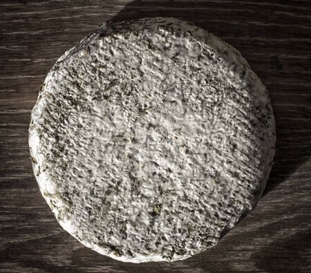 Craft cheese from cows and goats milk. Cheese headの写真素材