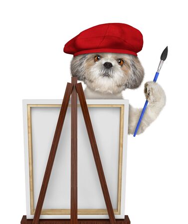 Cute shitzu dog is a painter artist. Isolated on whiteの写真素材
