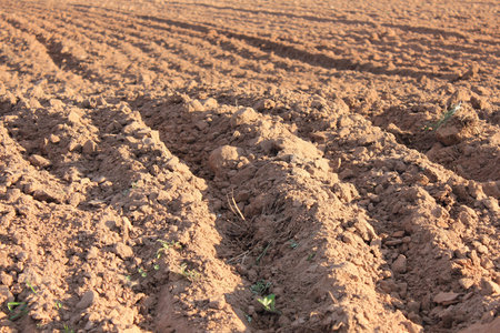 Close-up plowed field for sowing