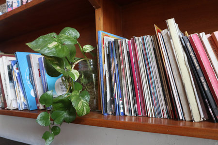 Books on bookshelf in library, closeup of photo.の写真素材