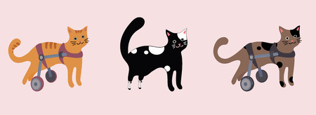 Set of disabled cats in wheelchairのイラスト素材