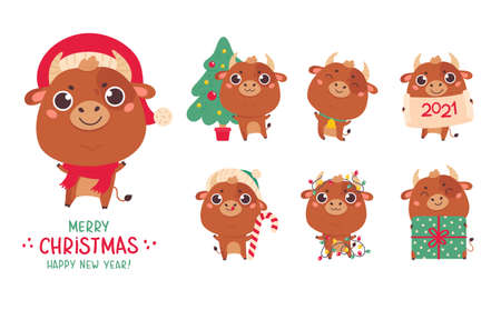 Set of cute cartoon ox and cows.New year cattle with various festive attributes.Chinese new year 2021 symbol.Set of holiday animals for the design of calendars,cards,advertising.Vector illustrationのイラスト素材