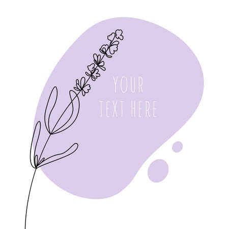 Abstract line art leaf. Lavander contour drawing. Minimal art leaf on abstract shapes backgroud. Modern minimal black and white botanical illustration. Background template with space for text.のイラスト素材