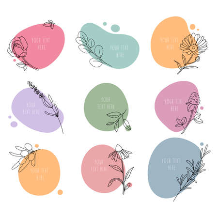 Set of medicinal plants. Collection hand drawn, botanical and healing isolated plants. Design of cosmetics herbs. Line art with abstract colorful forms and space for text. Vector illustration.のイラスト素材