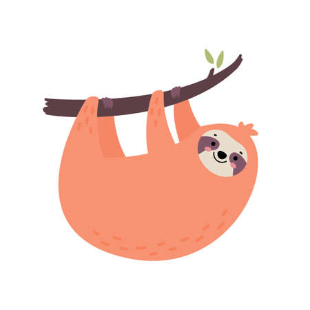 Cute hand drawn sloth hanging on the tree. Lazy animal character. Jungle animal hanging on a branch. Design for t shirt print, greeting card, poster. Hand drawn vector illustration.のイラスト素材