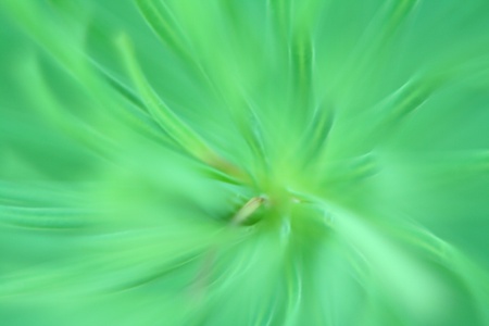 abstract green background, blurred leavesの写真素材