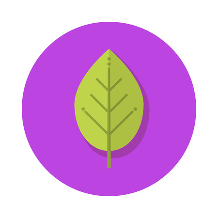 Flat green leaf of houseplant iconのイラスト素材