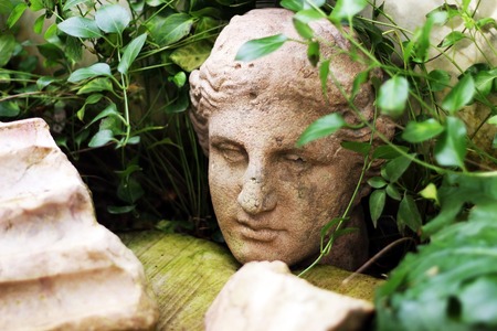Old Antique head in plantsの写真素材
