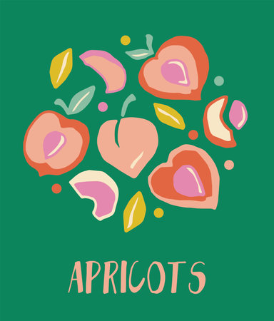 Apricots peach summer fruit foodのイラスト素材
