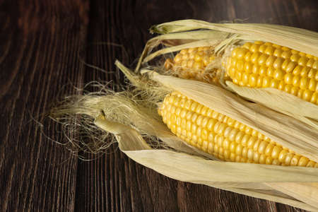 three cobs of corn on a dark wood backgroundの写真素材